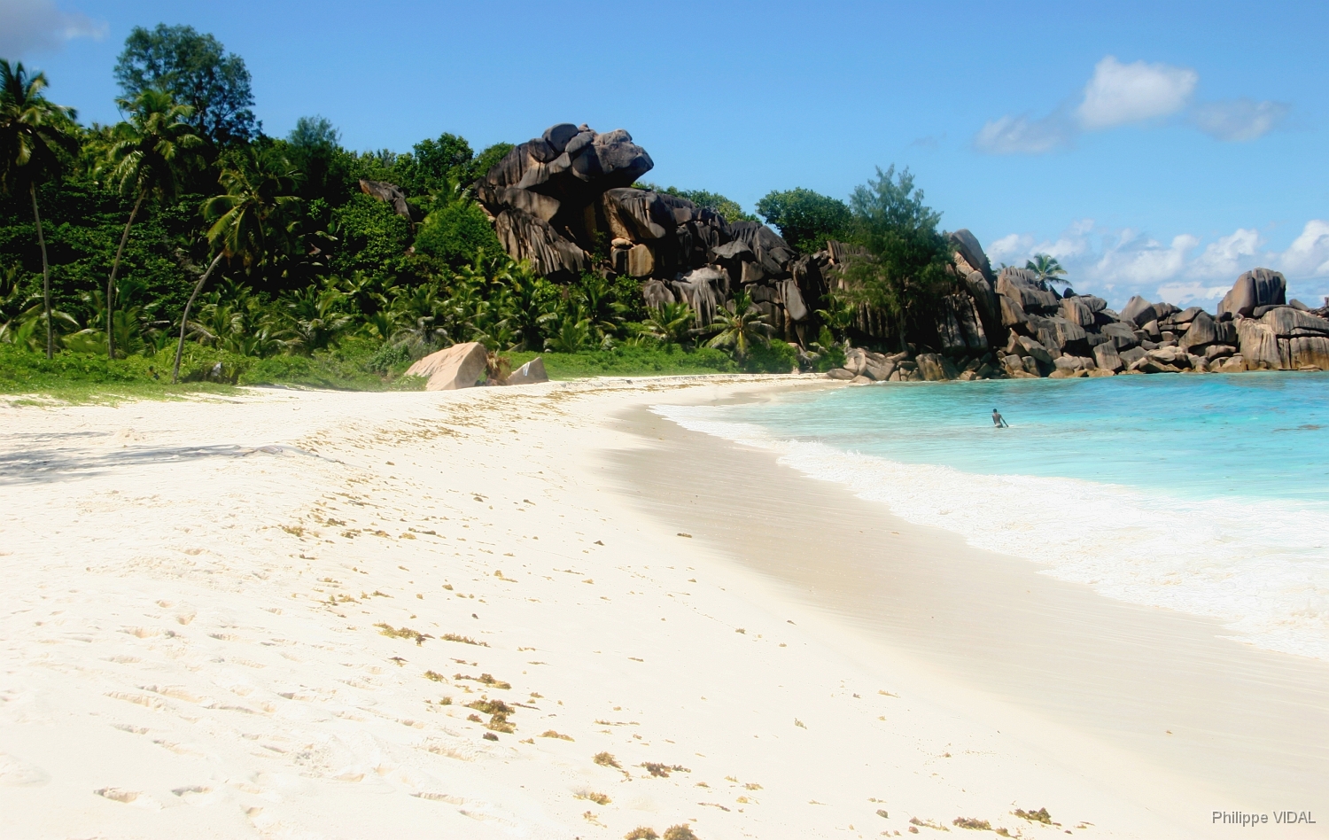 IMG_2210_rf_LA DIGUE_GRANDE ANSE.jpg